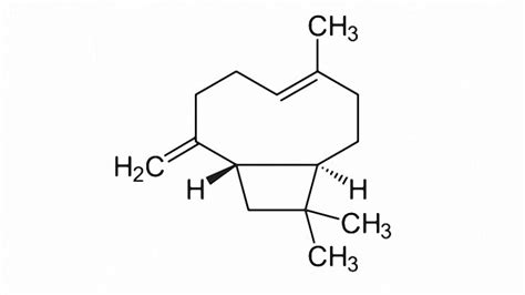 beta caryophyllene|What Is Beta.